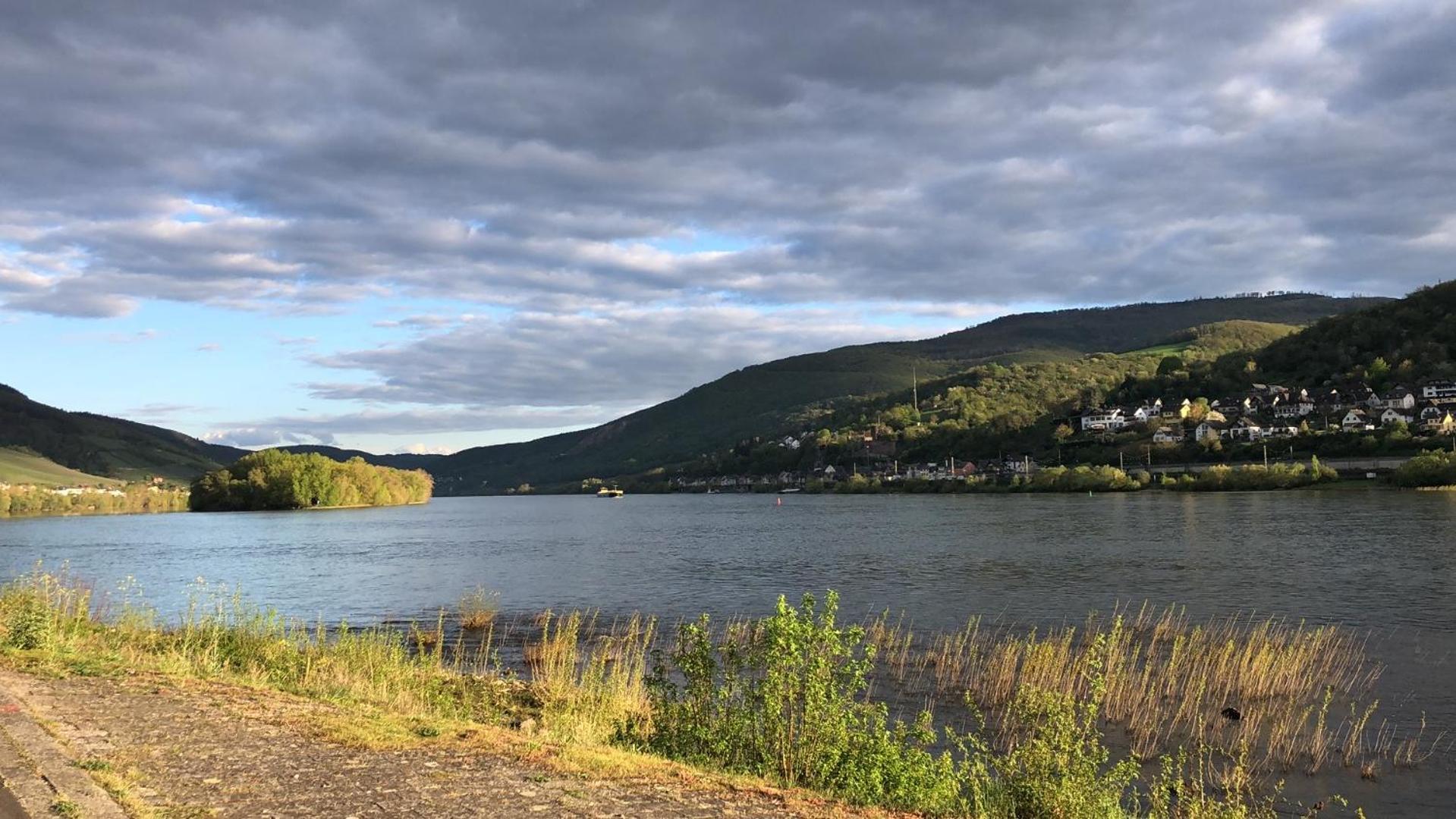 Rheinliebe Bistro Und Pension Lorch am Rhein Exteriér fotografie