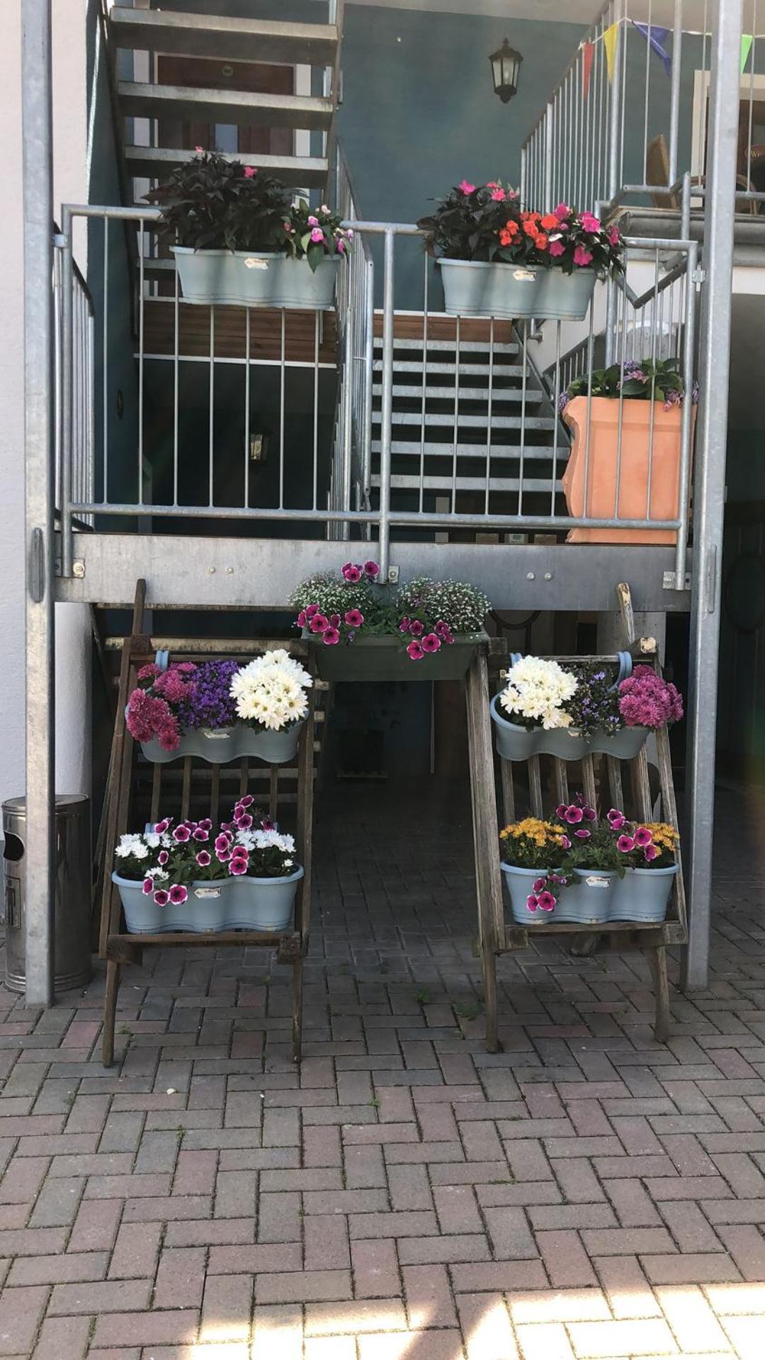 Rheinliebe Bistro Und Pension Lorch am Rhein Exteriér fotografie